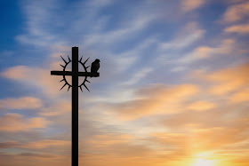 Hawk at sunset.