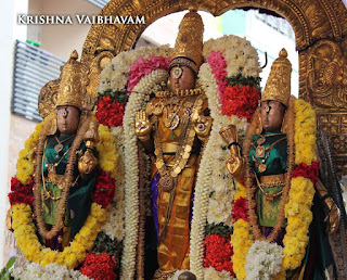 Narasimhar Swamy,Theliya Singar,Parthasarathy Perumal,Thiruvallikeni