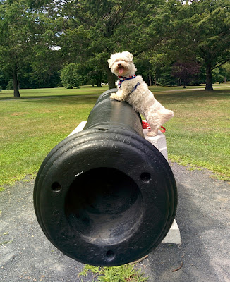 This is an actual cannon from 1813.  A piece of American History, these cannons sit in Belmont Lake State park for all to see and enjoy. The park is has a beautiful lake and allows (leashed) dogs!