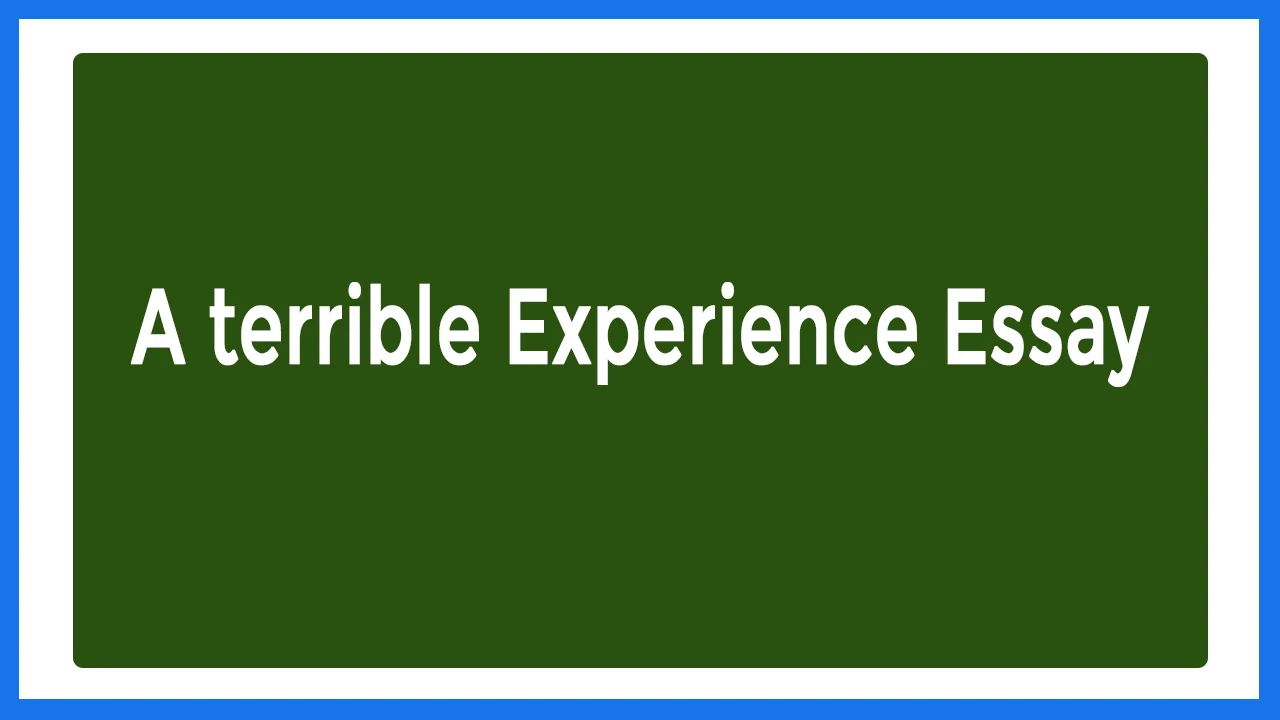 A terrible Experience Essay