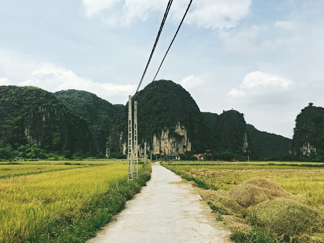 Tam Coc, Halong Bay’s magic between the rice fields 2