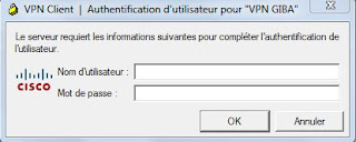 Comment Installer Cisco VPN Client sous Windows