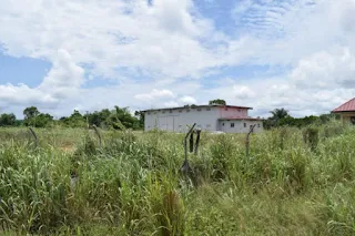 Weed, snakes, and other reptiles have taken over most of the warehouses constructed by the government under the Ministry of Special Development Initiatives (MSDI).    Residents in the respective districts where the facilities are located have appealed to the government to commission the warehouses so they could be used for the purposes for which they were constructed.
