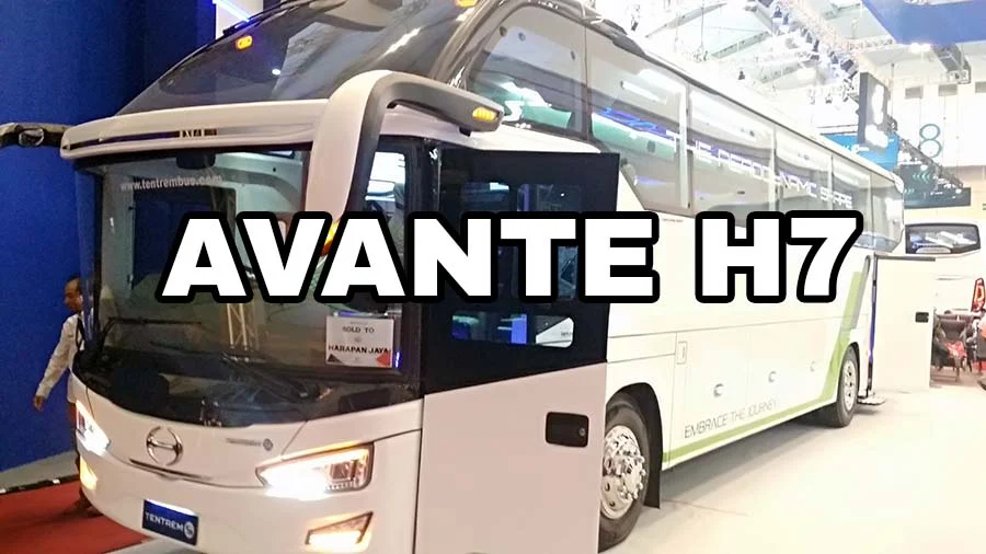 AVANTE H7