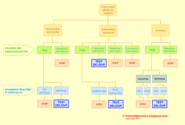 ANALISI DI DELEZIONE/DUPLICAZIONE (MLPA/qPCR) - quando sì, quando no, sulla base dei risultati del sequenziamento e delle mutazioni descritte in letteratura