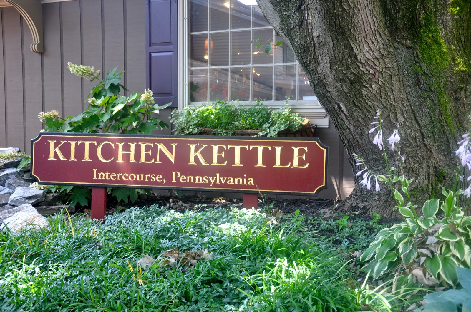 Pretty Purplexing Kitchen Kettle Sunday In My City