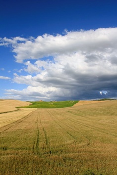 Beautiful day in Tuscany