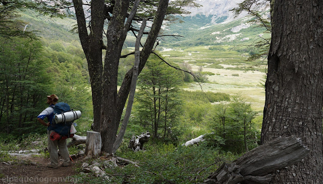 bosque, rio, rucaco, bariloche