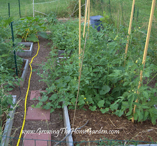 Raised Bed Vegetable Garden Layout