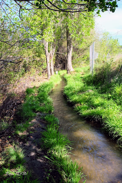 Acequia Alcázar, Jérez del Marquesado