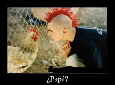 pollo punk