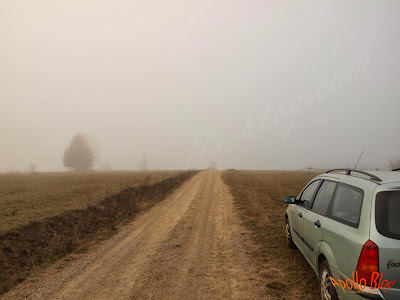 Ford Focus off-road