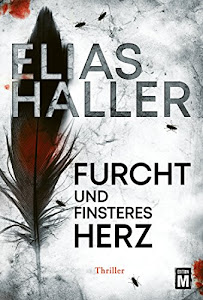 Furcht und finsteres Herz (Ein Erik-Donner-Thriller)