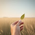 How Spirituality Can Help Improve Your Mental Health (And It's Easier Than You Think!)