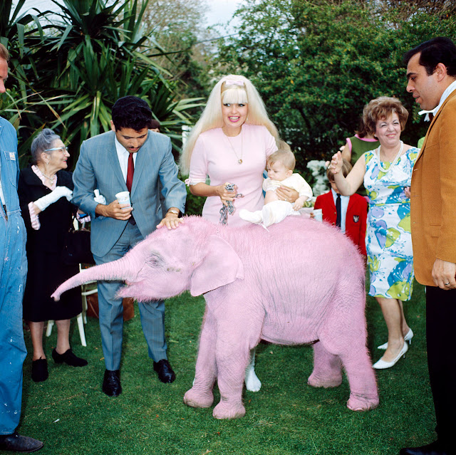 jayne mansfield mariska hargitay birthday pink elephant