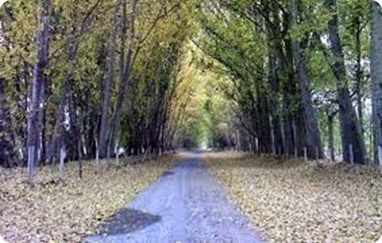 route della apple ruta della manzana