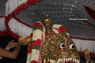 Aani,Simha, Vahanam,Sri Theliya Singar, Yoga Narasimhar,Brahmotsavam ,Purappadu,Video, Divya Prabhandam,Sri Parthasarathy Perumal, Triplicane,Thiruvallikeni,Utsavam,