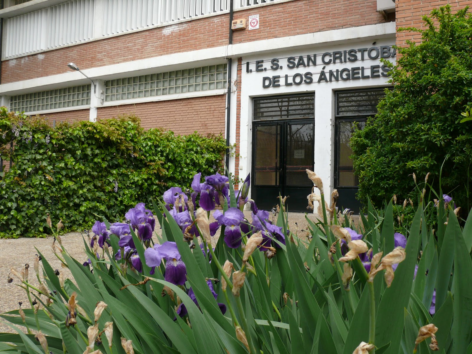 El Instituto