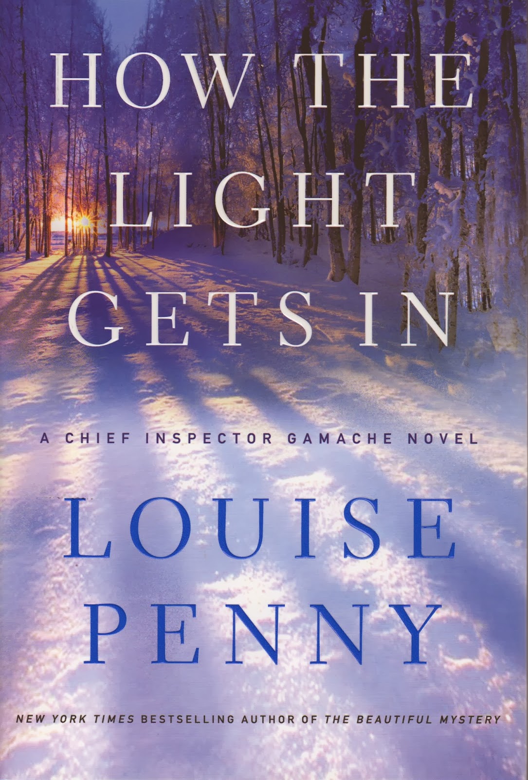 http://discover.halifaxpubliclibraries.ca/?q=title:how%20the%20light%20gets%20in%20author:penny