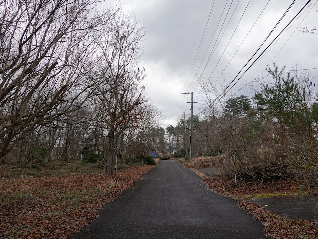 別荘地　大山の森