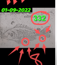 16/09/2022 3UP VIP Cut Total open Thailand Lottery -Thailand Lottery 100% sure number 16/09/2022