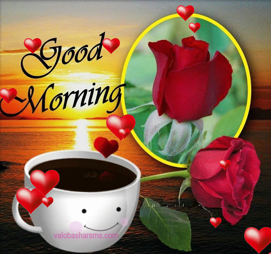 Good Morning Flower Pic Download - Good Morning Picture Download - Good Morning Romantic Pic - Good Morning Pic hd - shuvo sokal pic - NeotericIT.com