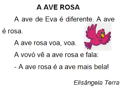 Texto A AVE ROSA, de Elisângela Terra