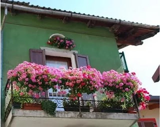 balkonda Çiçek Bakımı, Balkonlarımızı Çiçeklerle Süsleyelim, Balkonda Çiçeklerle Gelen Güzellik, kadin, 