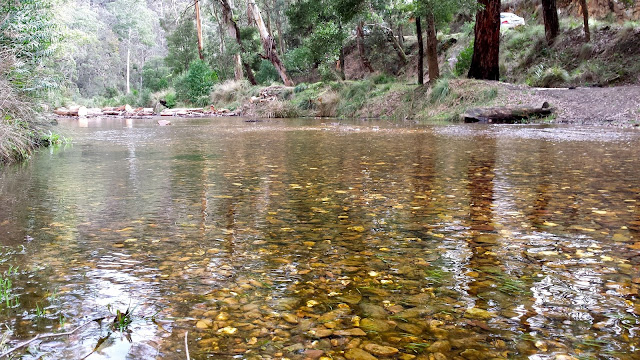 Lerderderg State Park Walk 