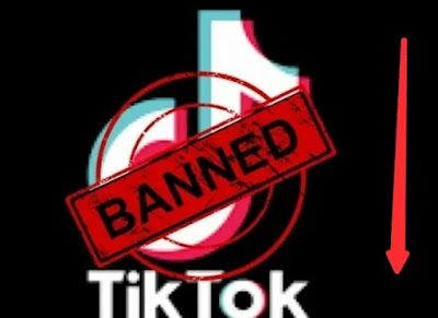 TikTok banned in Canada official mobile devices