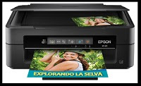 Epson XP 211