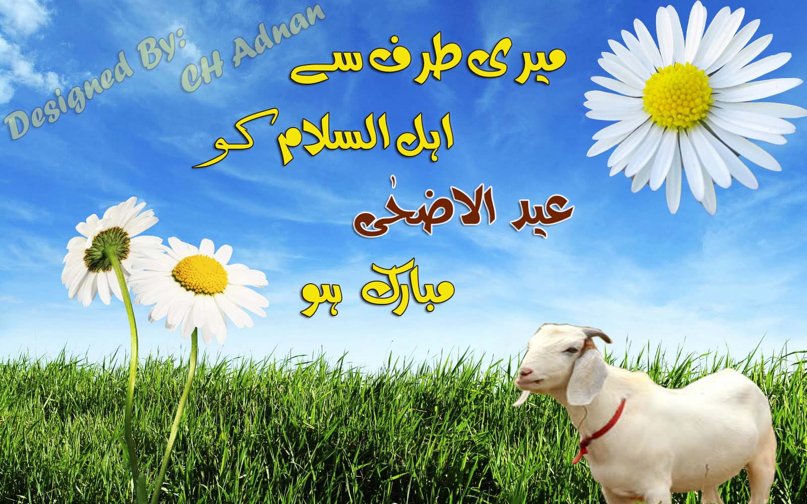 Bakra Eid Wallpaper Free Download - merchantdedal