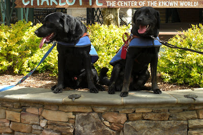 Picture of Al (left) and Rudy (right)