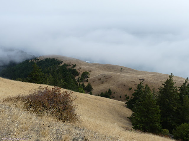 trail along grassy ridge