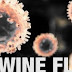 Everything about Swine flu 