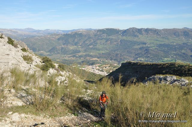 Sierra de Los Pinos