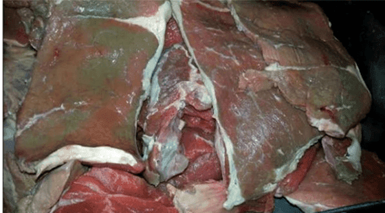 carne conservação alimento cinetica quimica