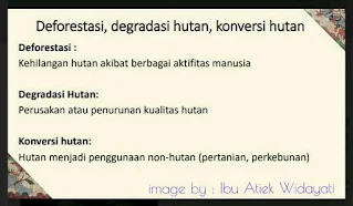 hutan lestari caranya bagaimana, apa arti hutan, apa arti deforestasi, apa arti degradasi, bagaimana agar tidak terjadi perubahan iklim,