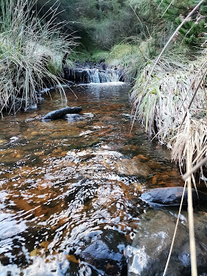 Slieve Bloom Mountains