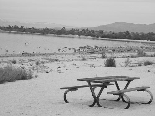 Palm Springs Salton Sea