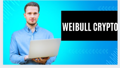 Weibull Crypto - A Comprehensive Review of the Trading Platform