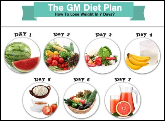 The General Motors Diet Plan Allows You To Lose 17  Pounds In 7 Days