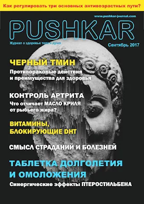 ЖУРНАЛ PUSHKAR №2 СЕНТЯБРЬ 2017