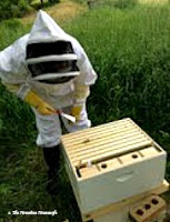 beekeeper