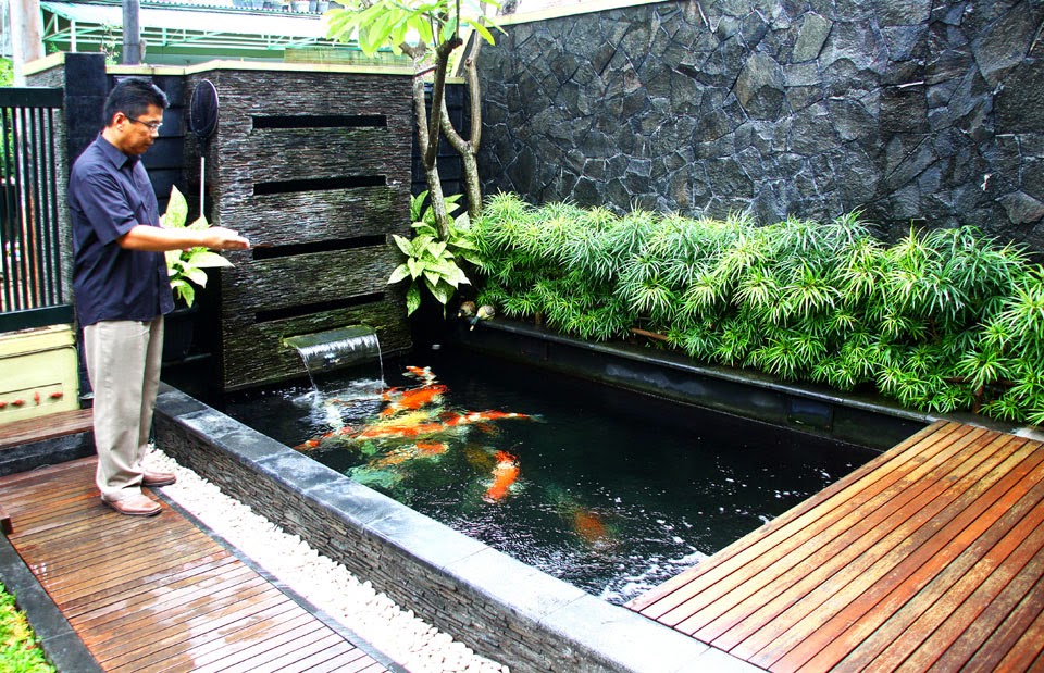 Taman Kolam Ikan Minimalis Membuat Rumah Lebih Asri