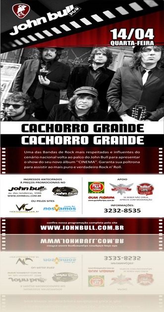cachorro em floripa