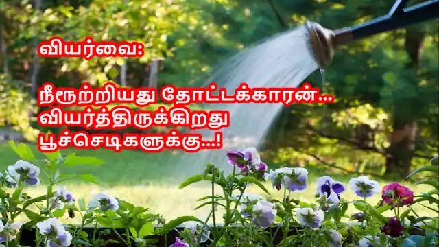 Tamil Haiku Kavithai 134