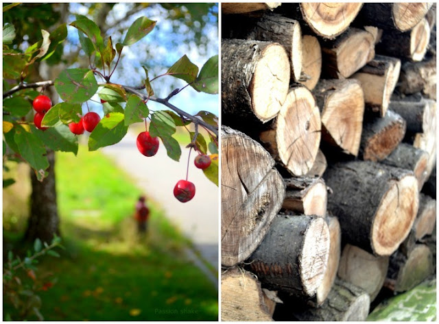 september, cherry, wood, autumn