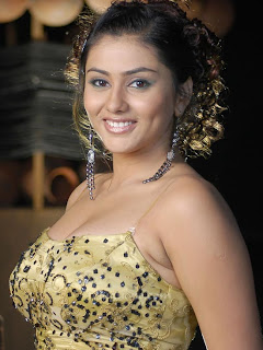 South Indian Actress Namitha Kapoor Hairstyle Ideas