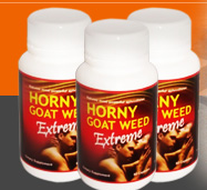 Horny Goat Weed Extreme